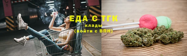 амф Гусев