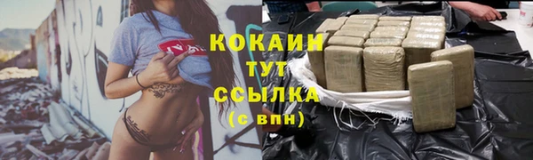 амф Гусев