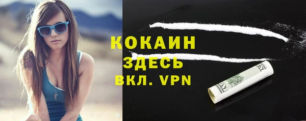сатива Гусь-Хрустальный