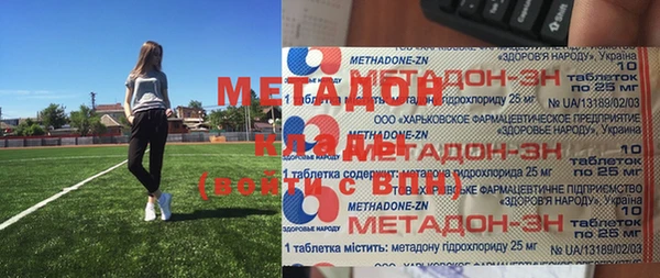 амф Гусев
