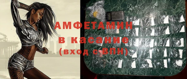 сатива Гусь-Хрустальный