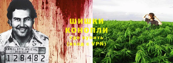 сатива Гусь-Хрустальный