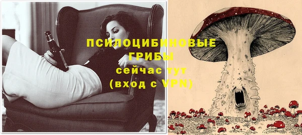 амф Гусев