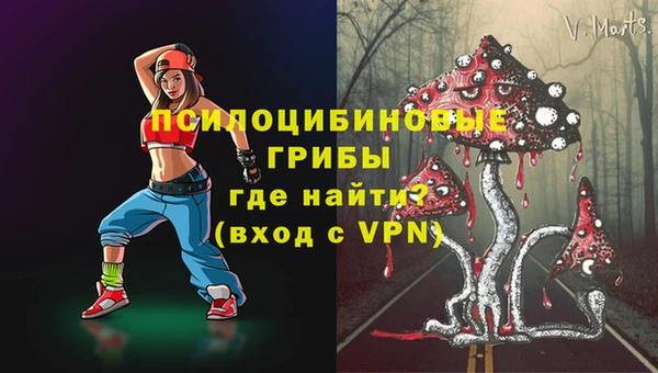 сатива Гусь-Хрустальный