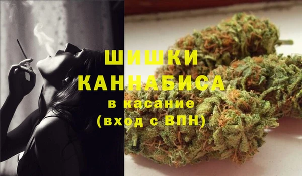 амф Гусев