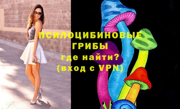 дживик Гусиноозёрск