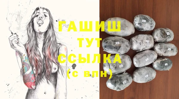 амф Гусев