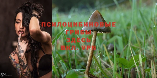 дживик Гусиноозёрск