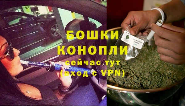 дживик Гусиноозёрск