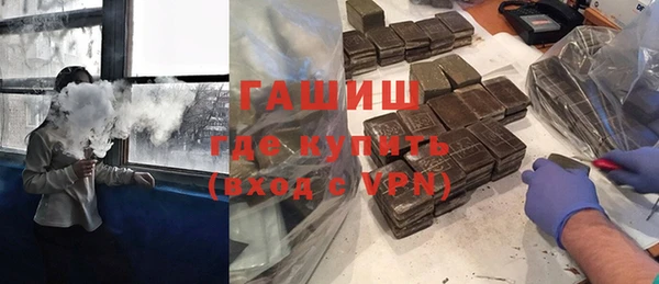 амф Гусев