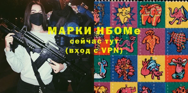 амф Гусев