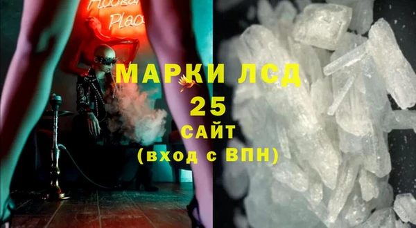 сатива Гусь-Хрустальный