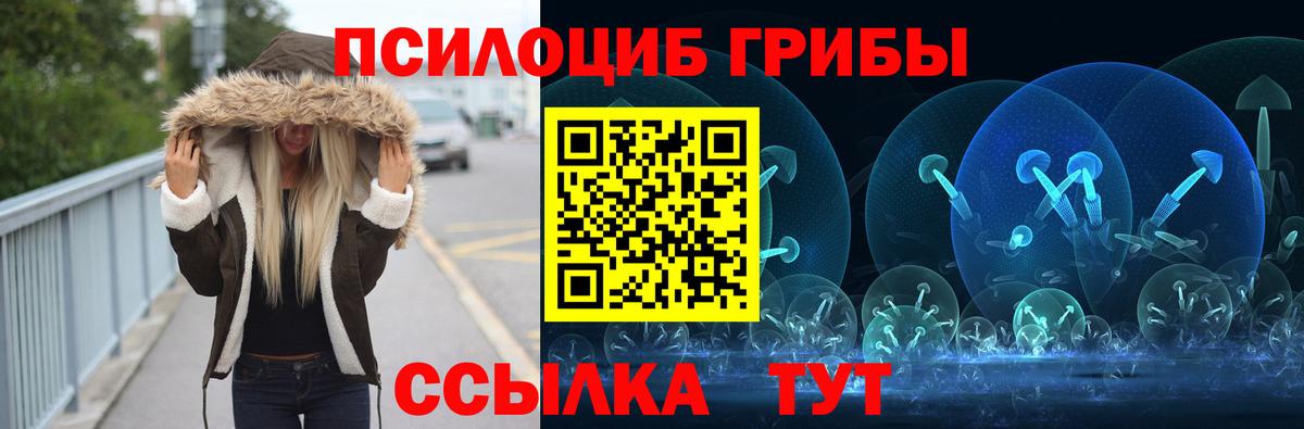 Псилоцибиновые грибы Psilocybine cubensis Мценск